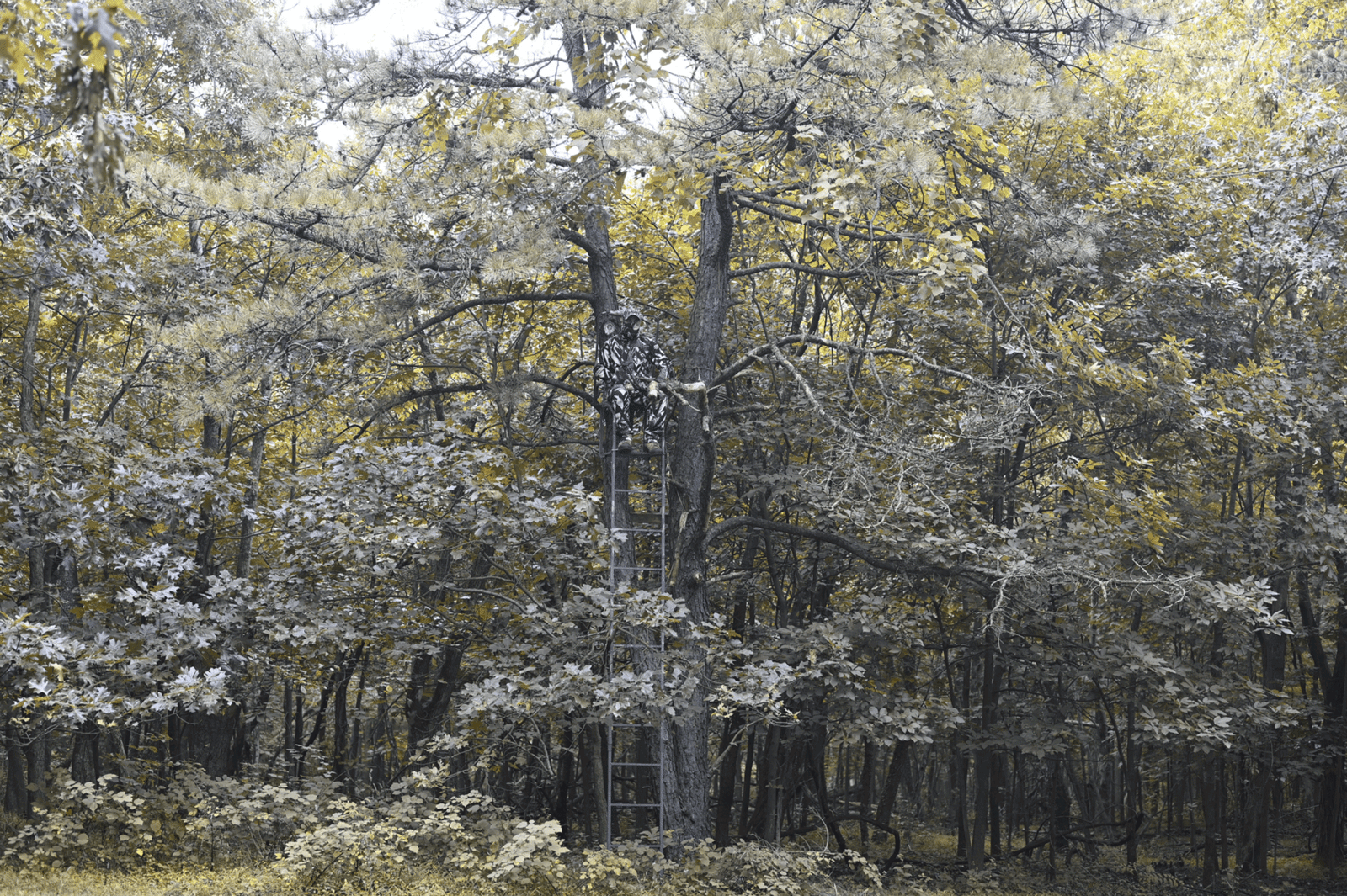 Rethinking Camouflage