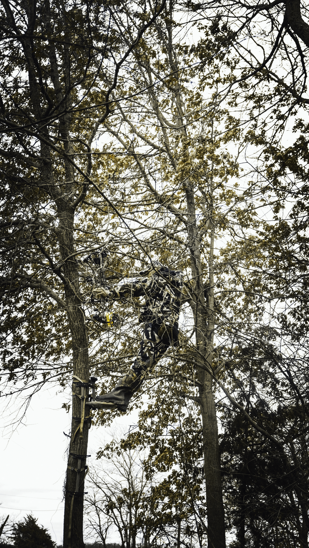 ALTRE™ Hunting Pants for Men - WhiteTail Forensics