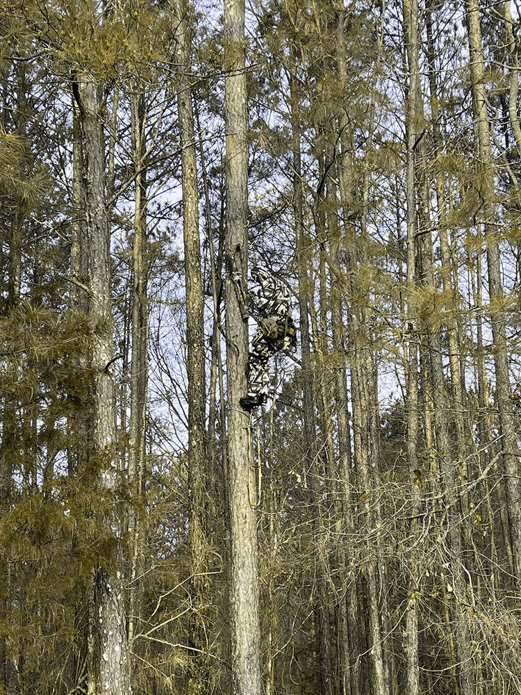 WTFCAMO® Designed for Deer Vision