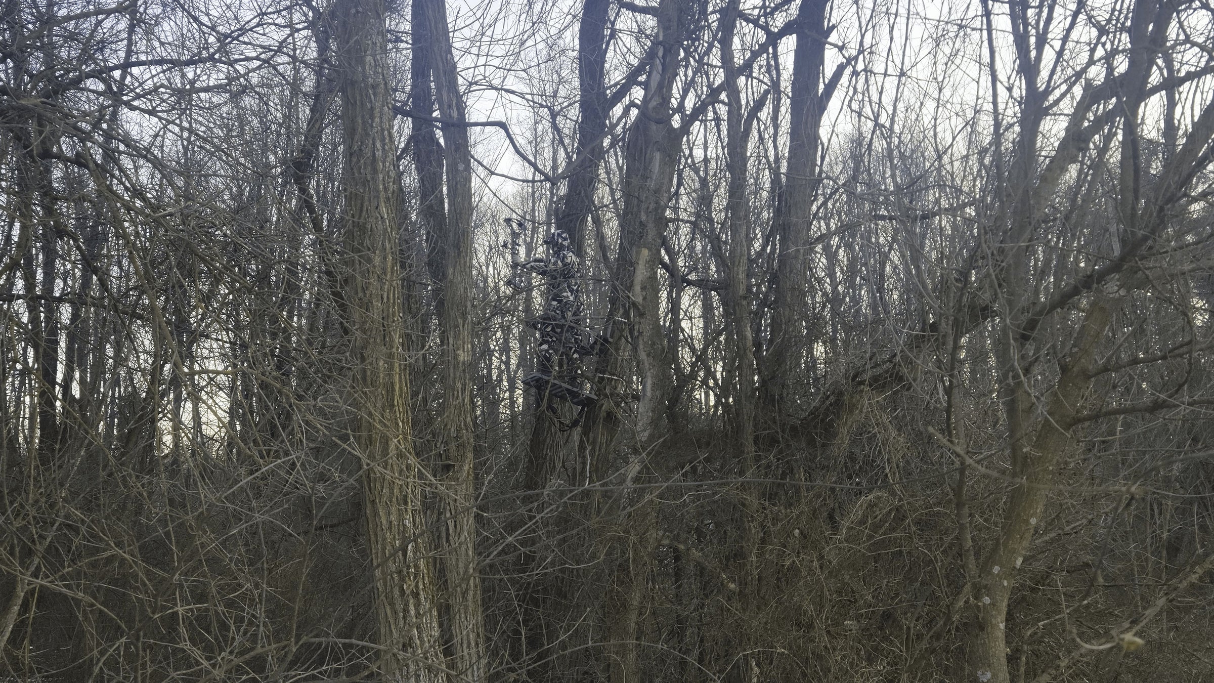 WTFCAMO archer on stand