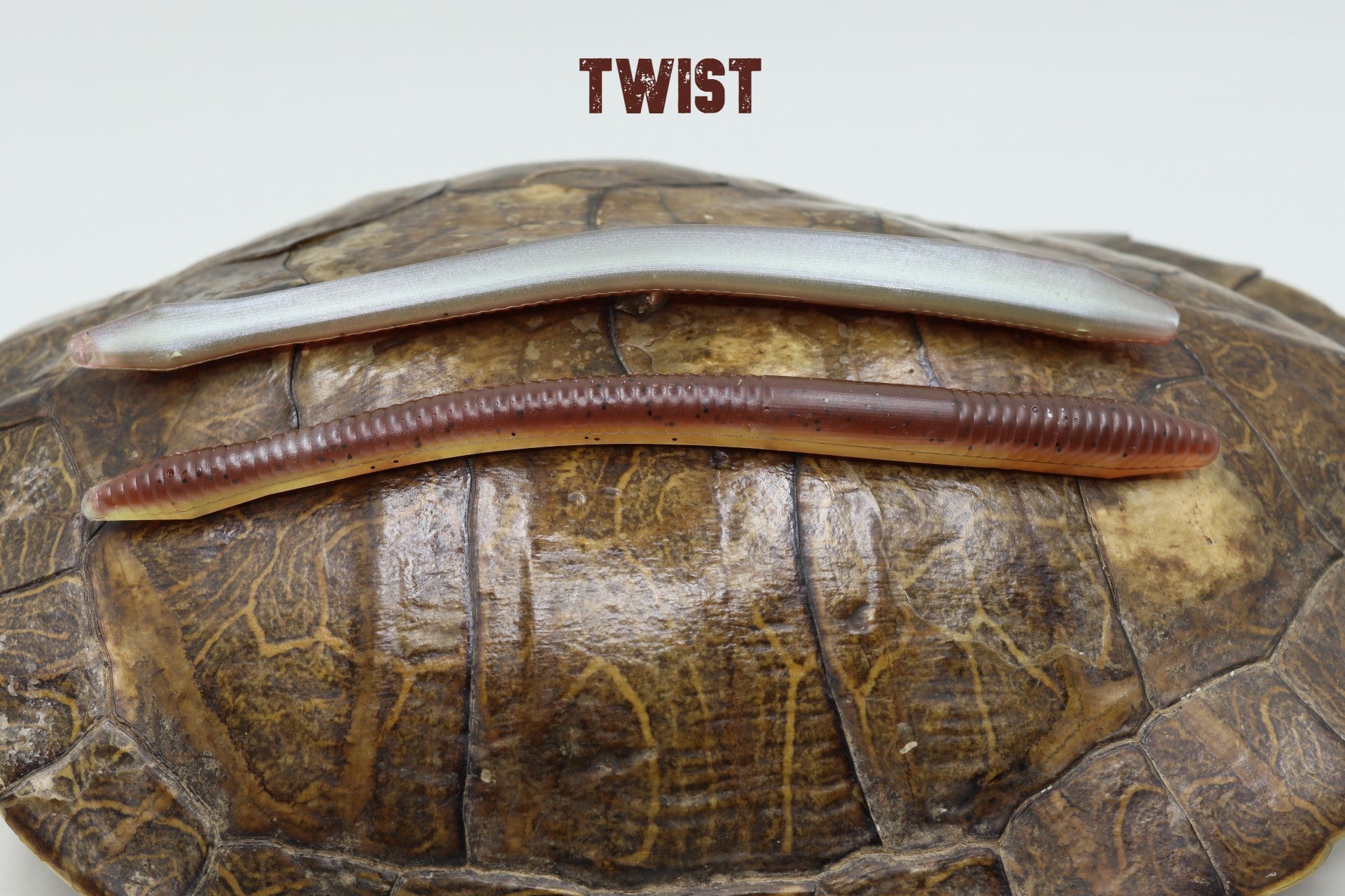 トップス APPLEBUM RAIDBACK FABRIC PURPLE WORM Limited] raidback®︎fabric Purple WORM